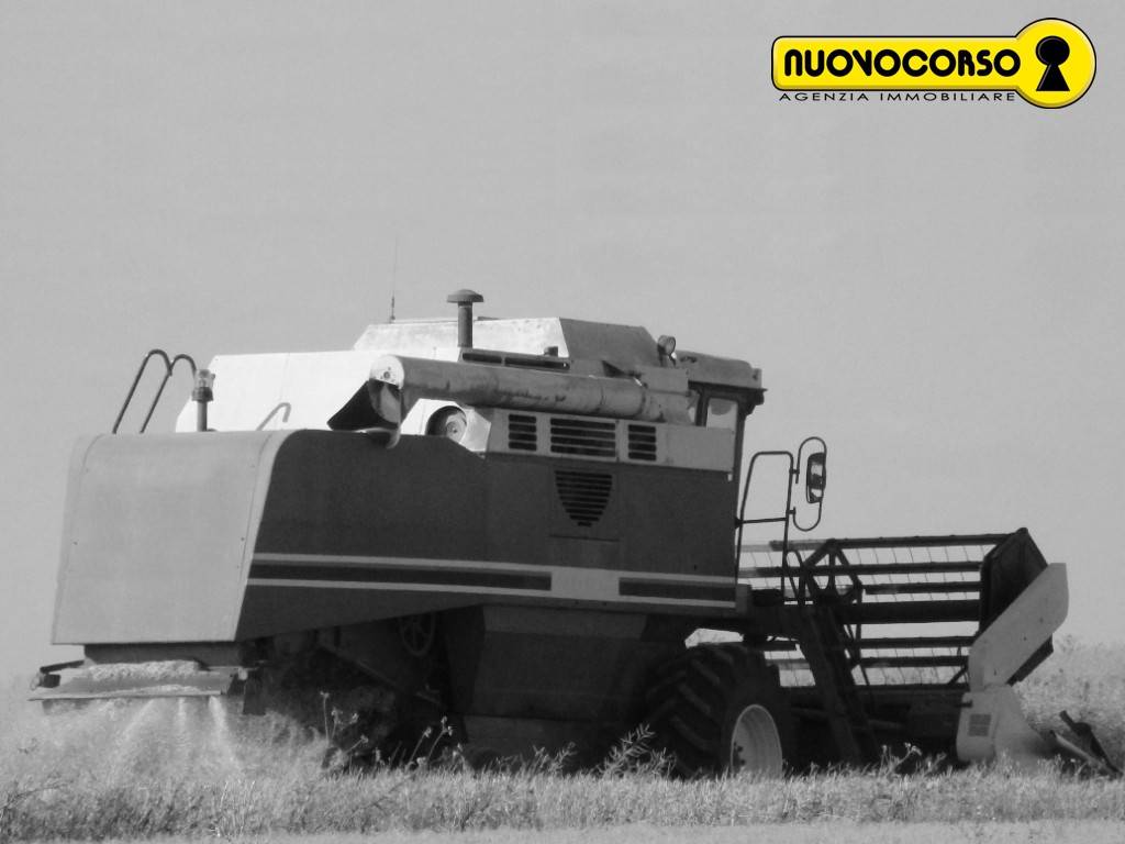terreno agricolo in vendita ad Ostellato