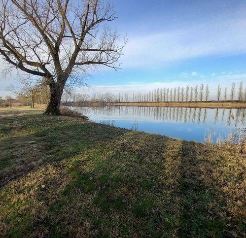 terreno agricolo in vendita ad Ostellato in zona Rovereto