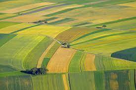 terreno agricolo in vendita ad Ostellato