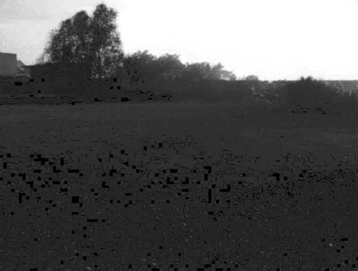terreno edificabile in vendita ad Ostellato in zona San Giovanni