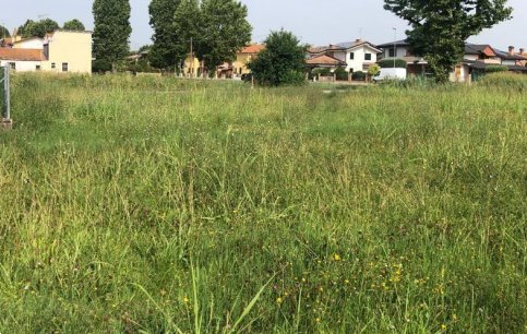 terreno edificabile in vendita ad Ostellato