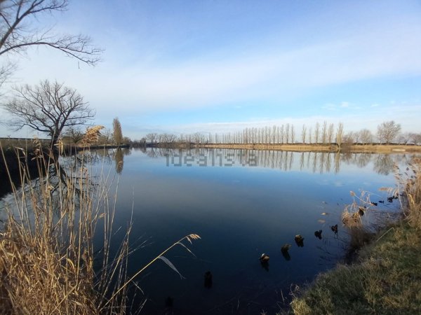 terreno agricolo in vendita ad Ostellato in zona Rovereto