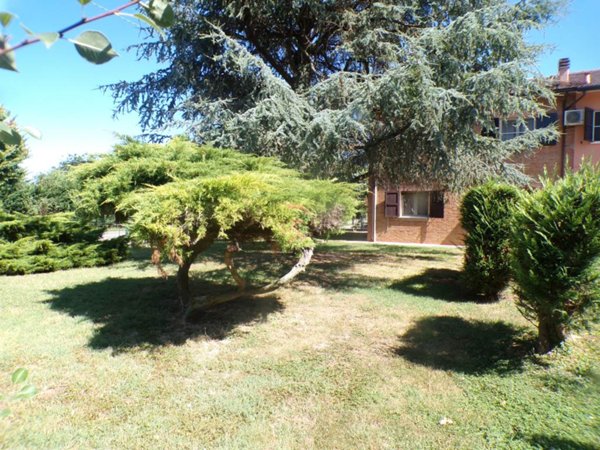 casa indipendente in vendita ad Ostellato in zona Dogato