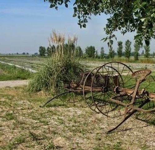 terreno agricolo in vendita ad Ostellato