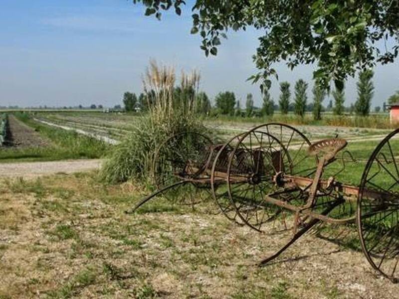 terreno agricolo in vendita ad Ostellato in zona Campolungo