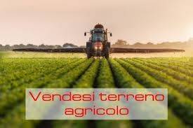 terreno agricolo in vendita ad Ostellato in zona Campolungo