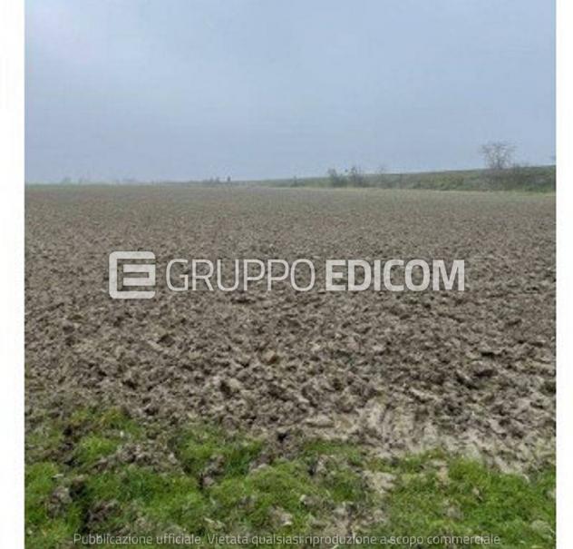 terreno agricolo in vendita ad Ostellato