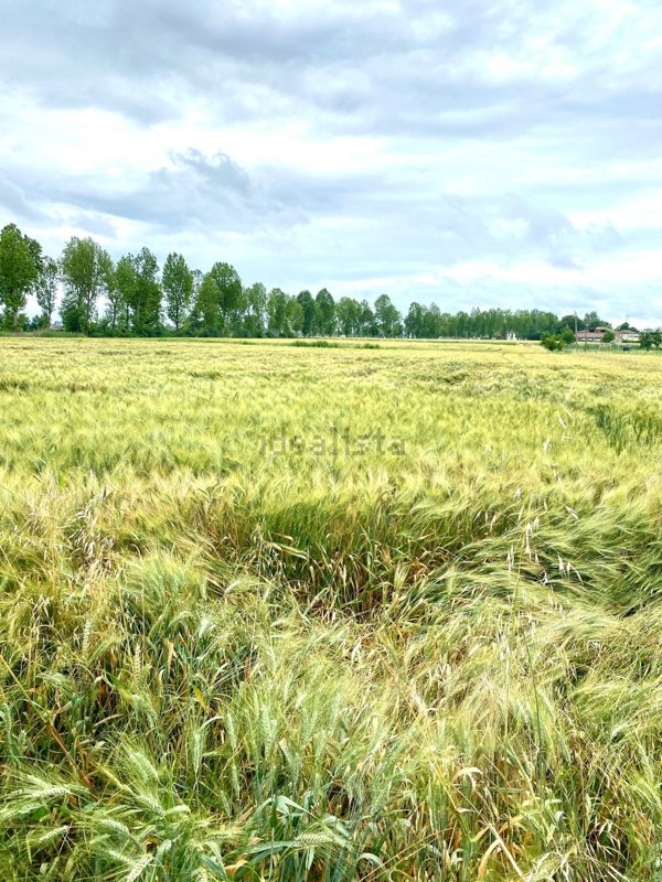 casa indipendente in vendita a Portomaggiore in zona Maiero