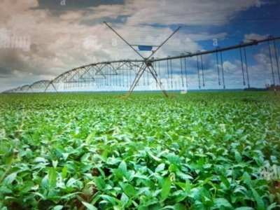 appartamento in vendita a Portomaggiore