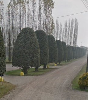 negozio in vendita a Vigarano Mainarda