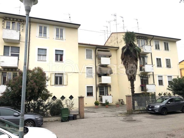 appartamento in vendita a Vigarano Mainarda