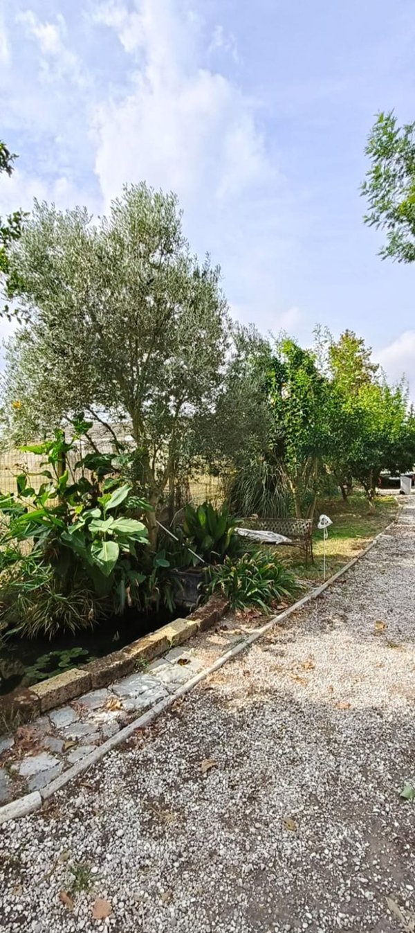 esavano in vendita a Vigarano Mainarda