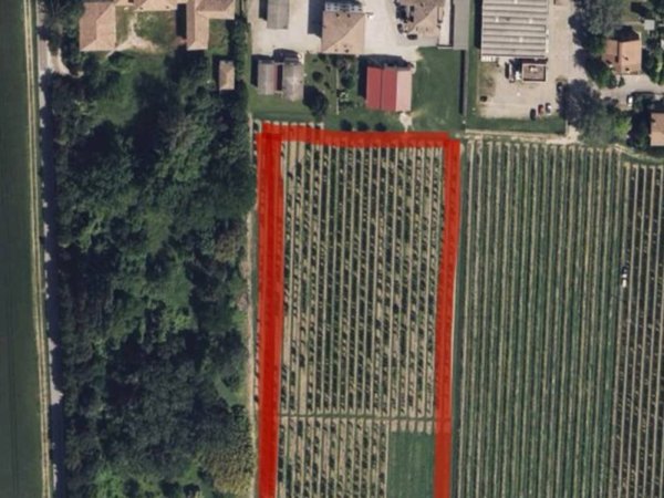 terreno agricolo in vendita a Vigarano Mainarda