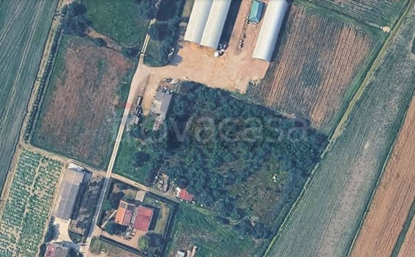 terreno edificabile in vendita a Vigarano Mainarda