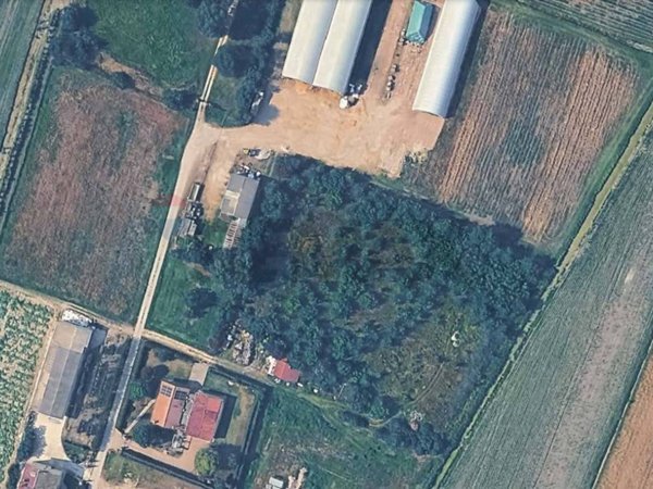 terreno agricolo in vendita a Vigarano Mainarda