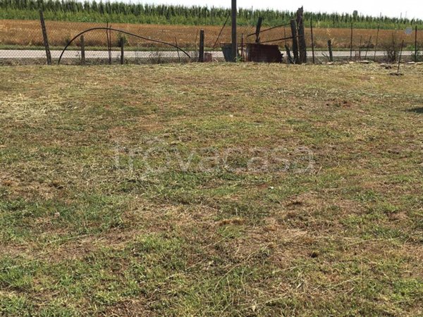 terreno edificabile in vendita a Vigarano Mainarda in zona Diamantina