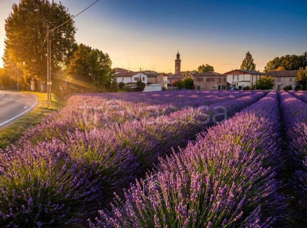 terreno agricolo in vendita a Vigarano Mainarda