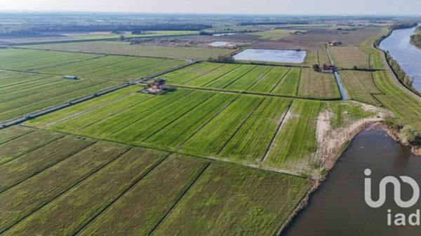 terreno agricolo in vendita a Goro