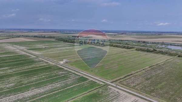 terreno agricolo in vendita a Goro in zona Gorino