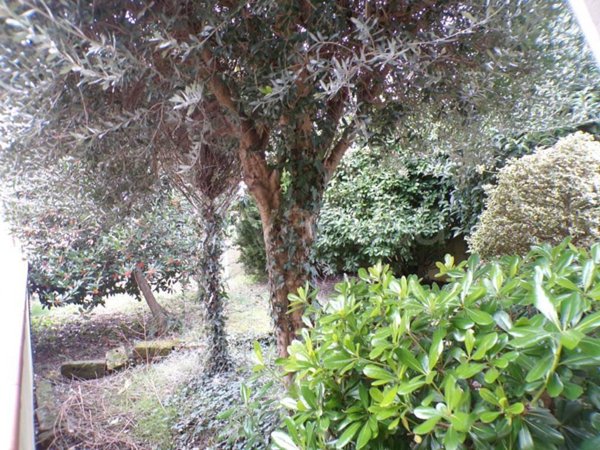 appartamento in vendita a Fiscaglia in zona Migliarino