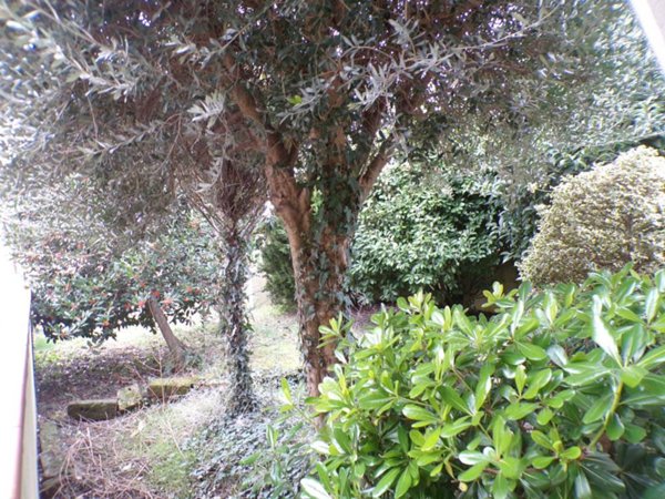 appartamento in vendita a Fiscaglia in zona Migliarino