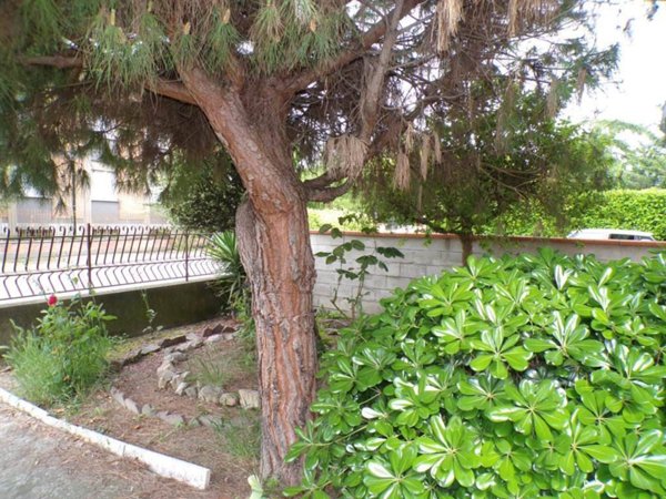 casa indipendente in vendita a Fiscaglia in zona Migliarino