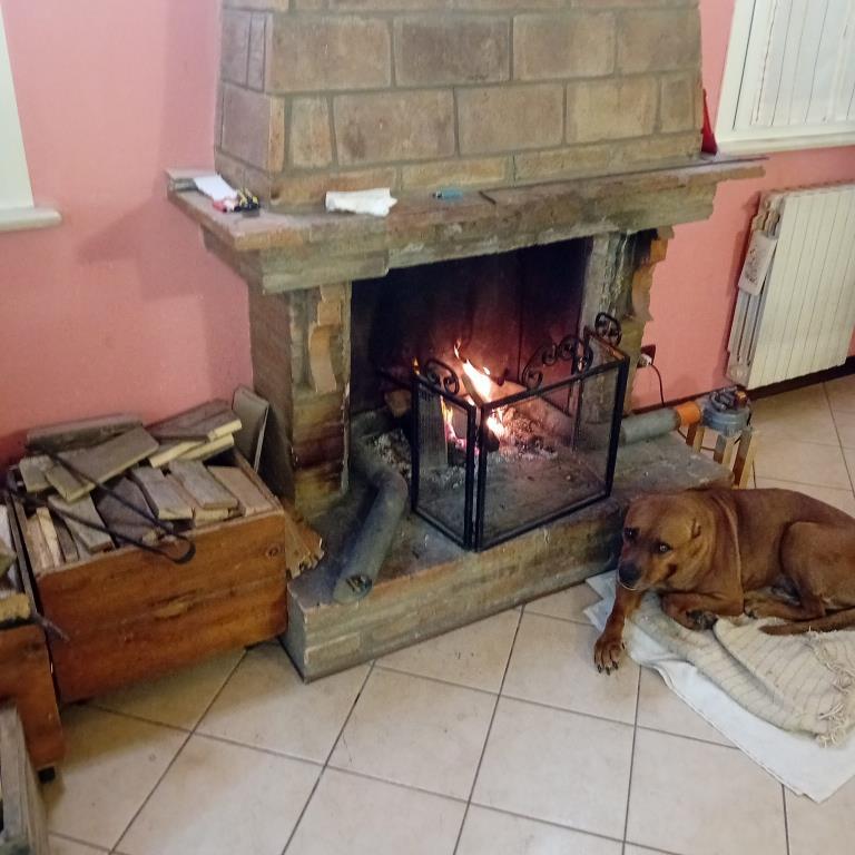 casa indipendente in vendita a Fiscaglia