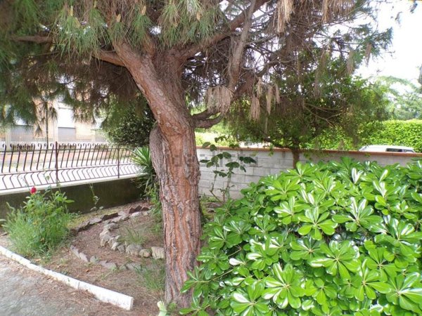 casa indipendente in vendita a Fiscaglia in zona Migliarino