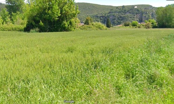 terreno agricolo in vendita a Fiscaglia in zona Migliarino