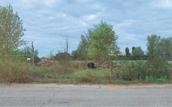 terreno edificabile in vendita a Terre del Reno