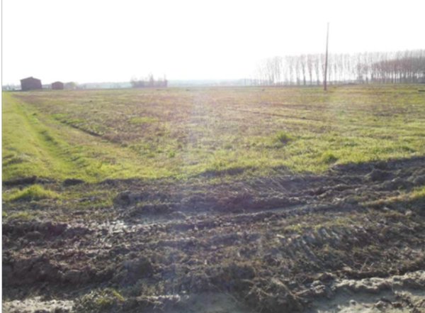 terreno agricolo in vendita a Terre del Reno