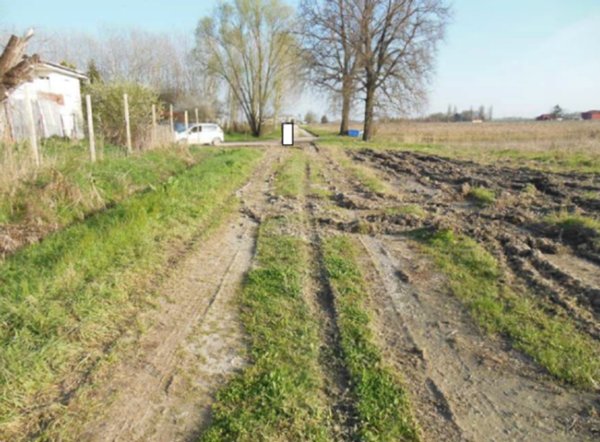 terreno agricolo in vendita a Terre del Reno