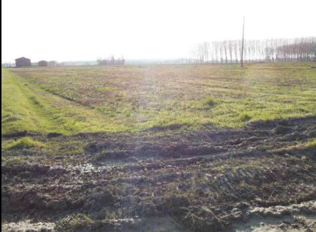 terreno agricolo in vendita a Terre del Reno