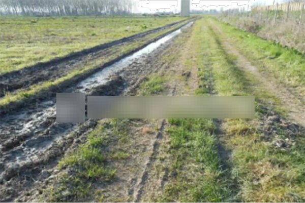 terreno agricolo in vendita a Terre del Reno