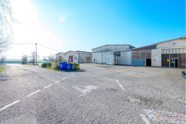 immagine annuncio 0 di 15