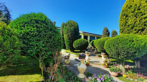 casa indipendente in vendita a Riva del Po
