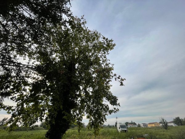 casa indipendente in vendita a Riva del Po in zona Ro