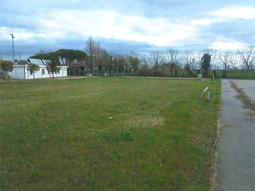 terreno agricolo in vendita a Riva del Po