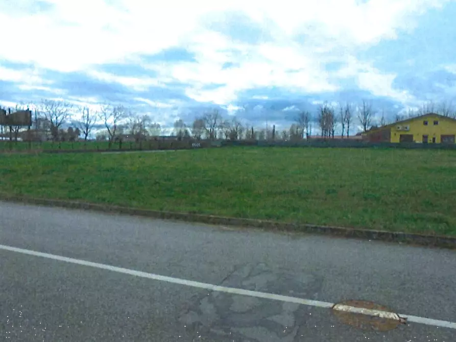 terreno agricolo in vendita a Riva del Po
