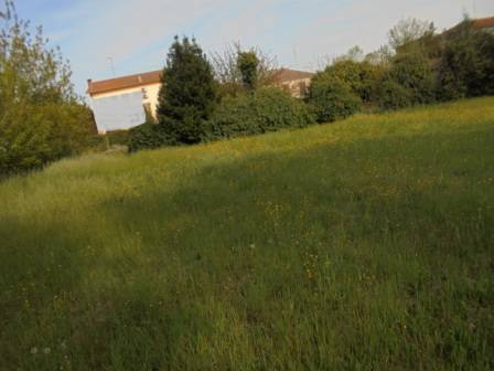 casa indipendente in vendita a Riva del Po