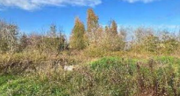 terreno agricolo in vendita a Riva del Po in zona Ro
