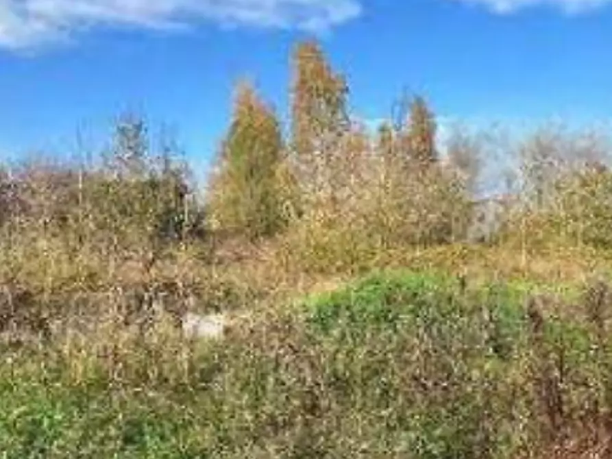 terreno agricolo in vendita a Riva del Po in zona Ro