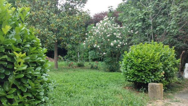 casa indipendente in vendita a Riva del Po
