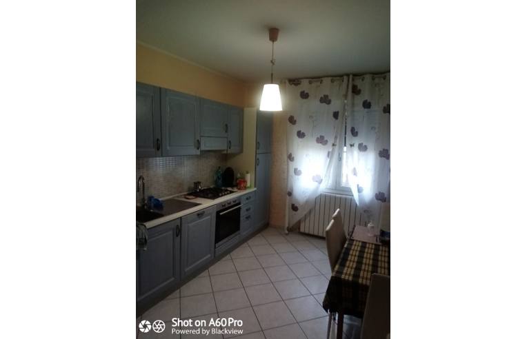 casa indipendente in vendita a Riva del Po