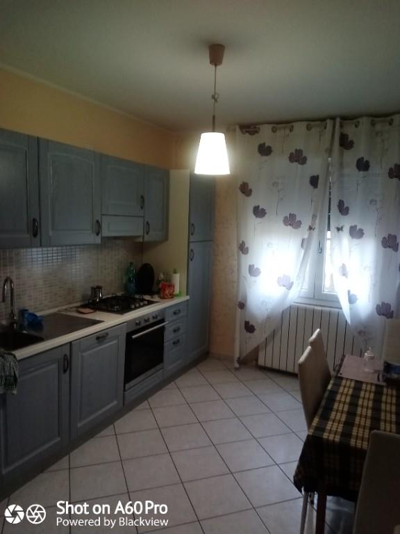 casa indipendente in vendita a Riva del Po