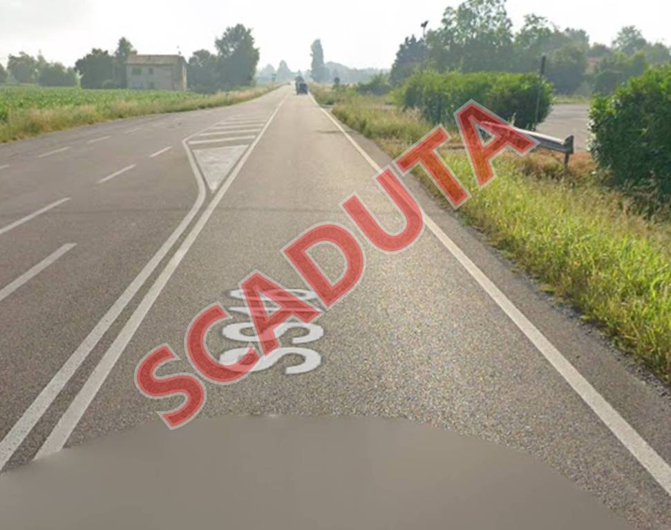 negozio in vendita a Riva del Po in zona Ro