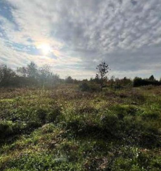 terreno agricolo in vendita a Riva del Po