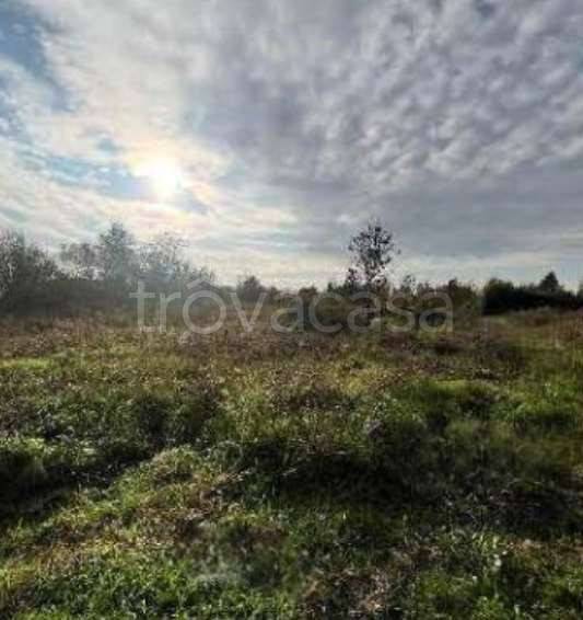 monolocale in vendita a Riva del Po in zona Berra