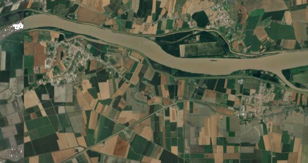 terreno agricolo in vendita a Riva del Po