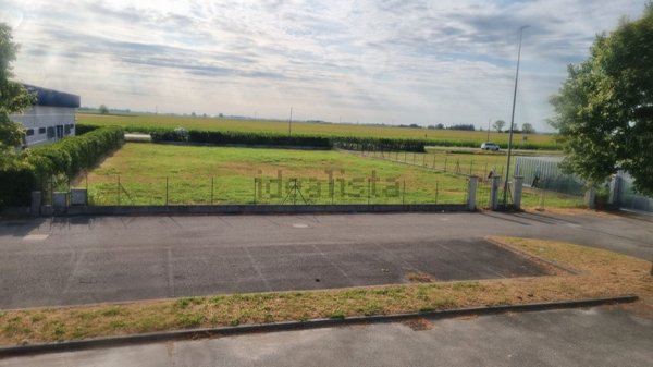 terreno edificabile in vendita a Riva del Po in zona Ro